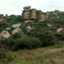 фото из отзыва ID 1683863