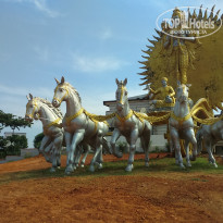 фото из отзыва ID 1683863