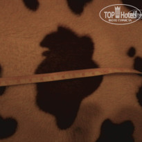 фото из отзыва ID 1683901