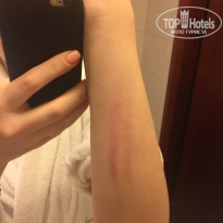 фото из отзыва ID 1684028