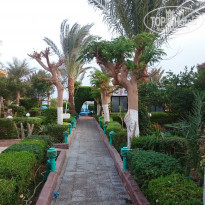 фото из отзыва ID 1684194