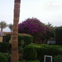 фото из отзыва ID 1684194