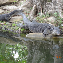 фото из отзыва ID 1684229