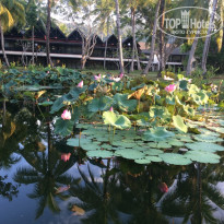 фото из отзыва ID 1684229