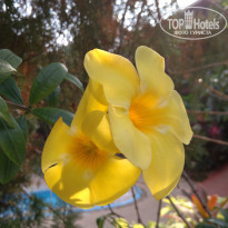 фото из отзыва ID 1684283