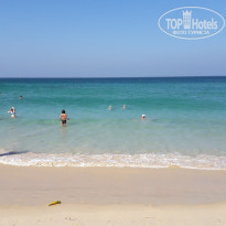 фото из отзыва ID 1684309