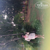 фото из отзыва ID 1681807