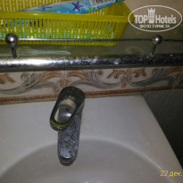 фото из отзыва ID 1684378