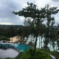 фото из отзыва ID 1684457