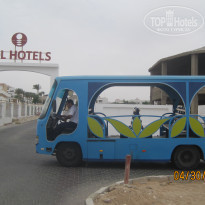 фото из отзыва ID 1684468