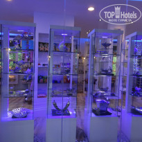 фото из отзыва ID 1684514