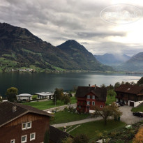 фото из отзыва ID 1684598