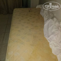 фото из отзыва ID 1684655