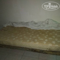 фото из отзыва ID 1684655