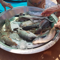 фото из отзыва ID 1684779