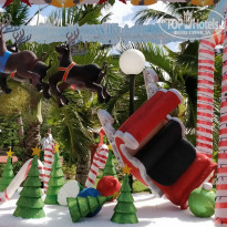 фото из отзыва ID 1684820