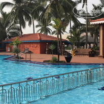 фото из отзыва ID 1684852