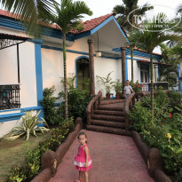 фото из отзыва ID 1684852