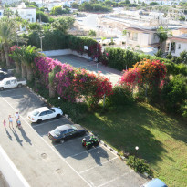 фото из отзыва ID 1684134