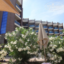 фото из отзыва ID 1684920