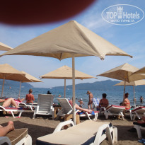 фото из отзыва ID 1684920