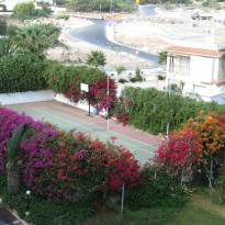 фото из отзыва ID 1684134