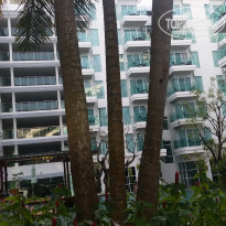 фото из отзыва ID 1684946