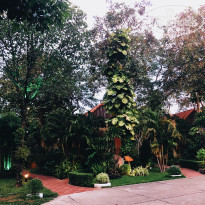 фото из отзыва ID 1684962