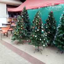 фото из отзыва ID 1684996