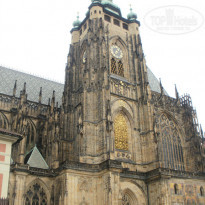 фото из отзыва ID 1685020