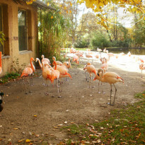 фото из отзыва ID 1685020