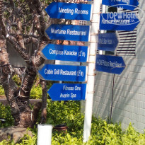 фото из отзыва ID 1685037