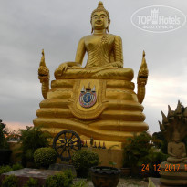 фото из отзыва ID 1685045