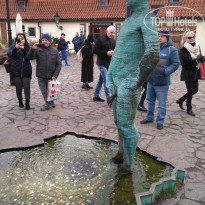 фото из отзыва ID 1685085