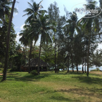 фото из отзыва ID 1685016