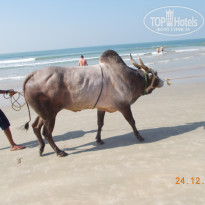 фото из отзыва ID 1685231