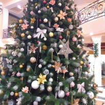 фото из отзыва ID 1685254