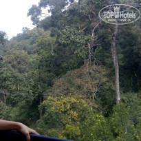 фото из отзыва ID 1685266