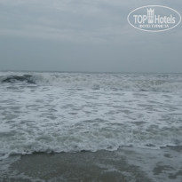 фото из отзыва ID 1685266