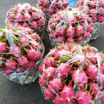 фото из отзыва ID 1685271