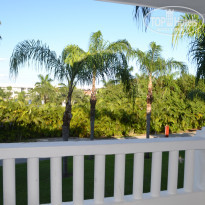 фото из отзыва ID 1685292