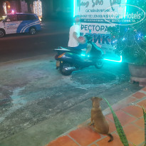 фото из отзыва ID 1685308