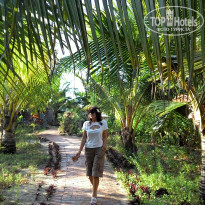 фото из отзыва ID 1685358