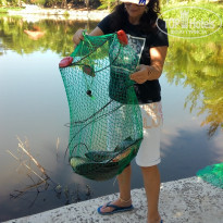 фото из отзыва ID 1685358