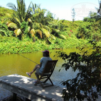 фото из отзыва ID 1685358