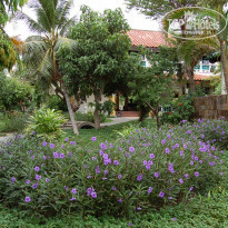 фото из отзыва ID 1685373