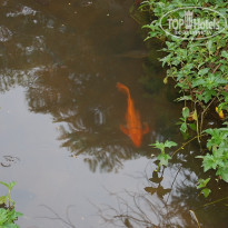 фото из отзыва ID 1685373