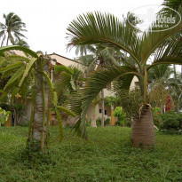 фото из отзыва ID 1685373