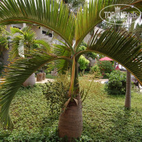 фото из отзыва ID 1685373