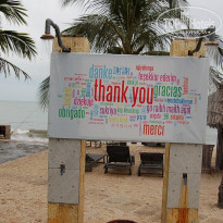 фото из отзыва ID 1685373